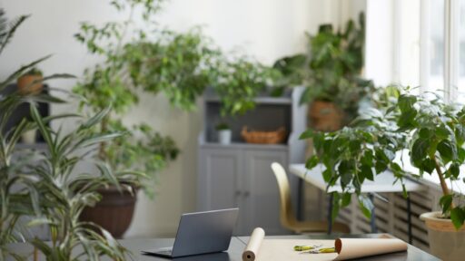 Office Decor Ideas