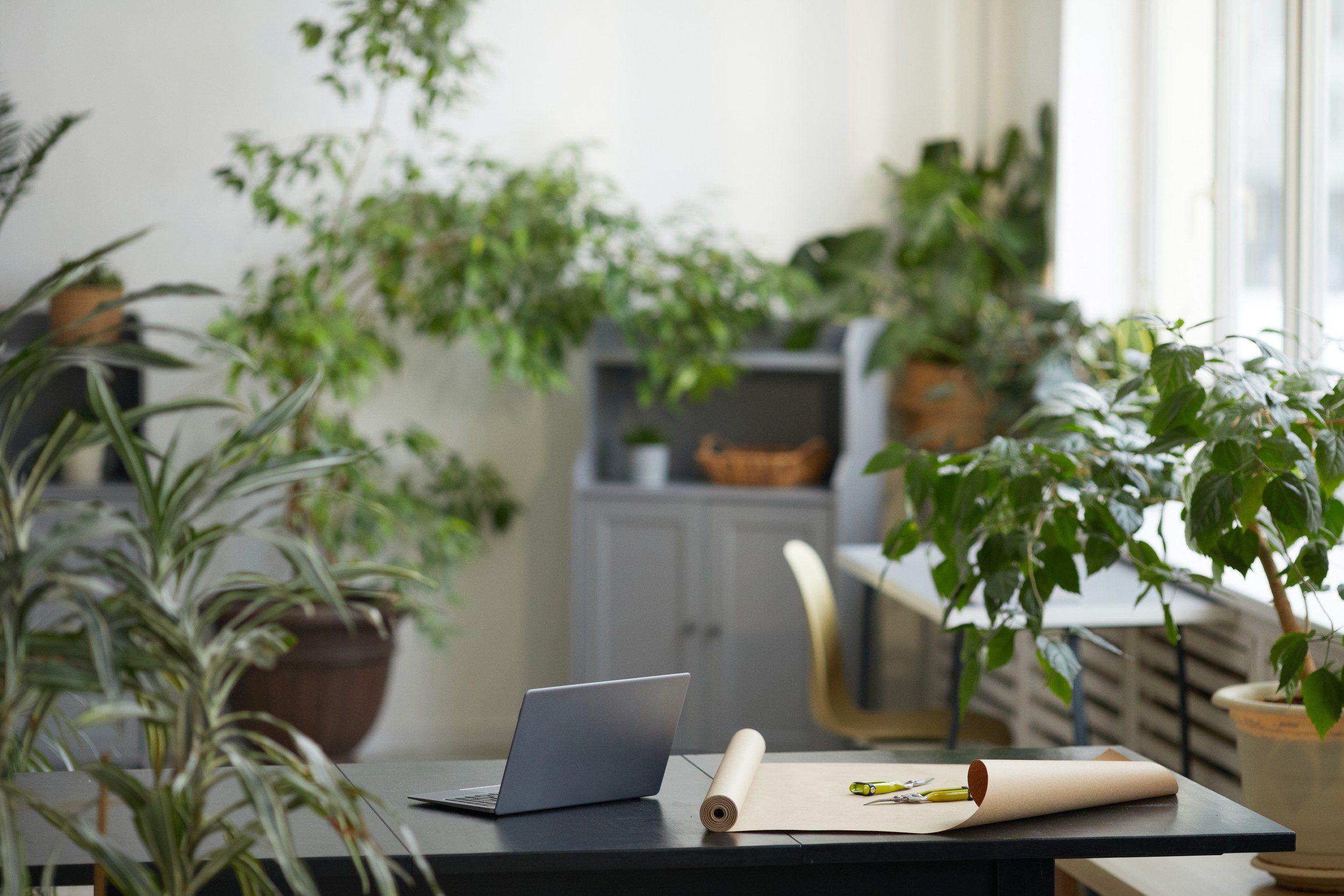 Dull to Dynamic: Office Decor Ideas Using Lighting & Plants